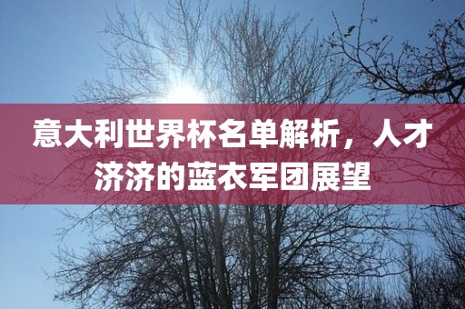 意大利世界杯名单解析，人才济济的蓝衣军团展望