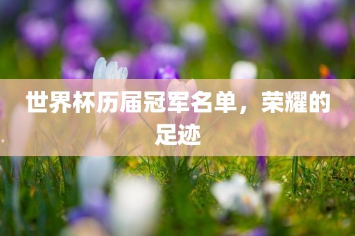 世界杯历届冠军名单，荣耀的足迹漯河市盈旭机械设备有限公司