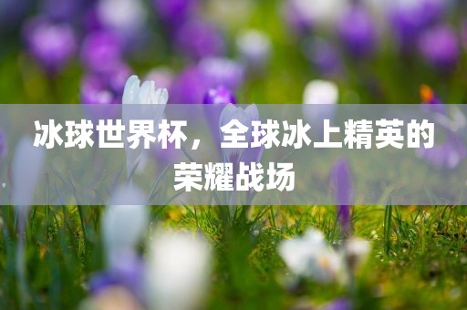 冰球世界杯，全球冰上精英的荣耀战场漯河市盈旭机械设备有限公司