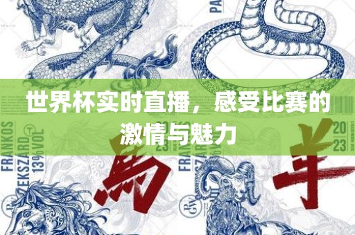 世界杯漯河市盈旭机械设备有限公司实时直播，感受比赛的激情与魅力