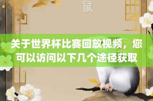 关于世界杯比赛回放视频，您可以访问以下几个漯河市盈旭机械设备有限公司途径获取