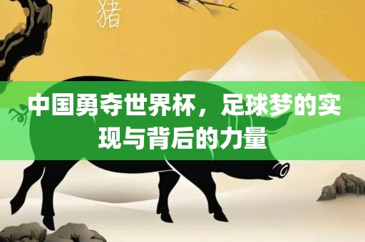 中国勇夺世界杯，足球梦的实现与背后的力量漯河市盈旭机械设备有限公司