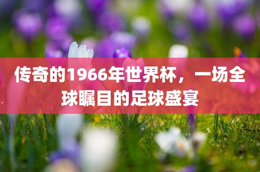 传奇的1966年世界杯，一场全球瞩目的足球盛宴漯河市盈旭机械设备有限公司