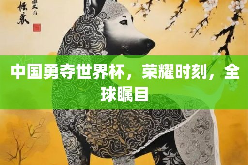 中国勇夺世界杯漯河市盈旭机械设备有限公司，荣耀时刻，全球瞩目