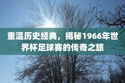重温历史经典，揭秘1966年世界杯足球赛的传奇之旅