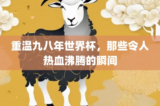 重温九八年世界杯，那些令人热血沸腾的瞬间漯河市盈旭机械设备有限公司