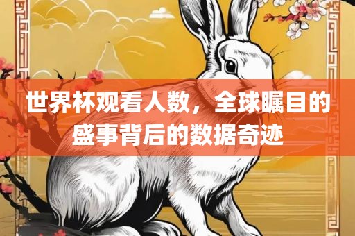 世界杯观看人数，全球瞩目的盛事背后的数据奇迹