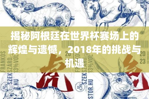 揭秘阿根廷在世界杯赛场上的辉煌与遗憾，2018年的挑战与机遇漯河市盈旭机械设备有限公司