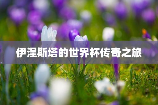 伊涅斯塔的世界杯传奇之旅