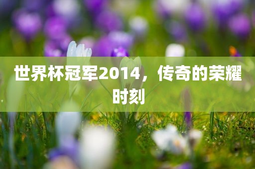 yangxinhong 第8页
