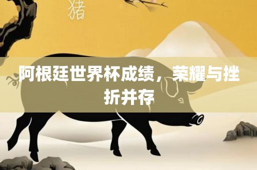阿根廷世界杯成绩，荣耀与挫折并存