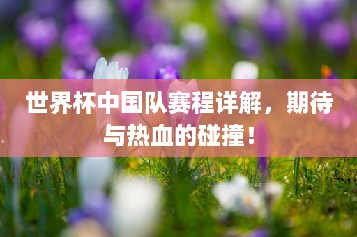 世界杯中国队赛程漯河市盈旭机械设备有限公司详解，期待与热血的碰撞！