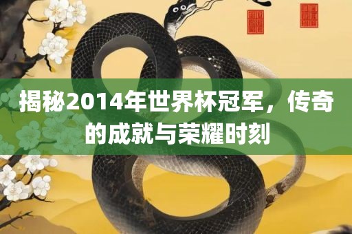 揭秘2014年世界杯冠军，传奇的成就漯河市盈旭机械设备有限公司与荣耀时刻