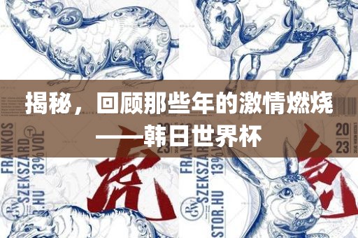 揭秘，回顾那些年的激情燃烧——韩日世界杯