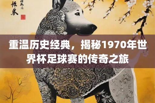 重温历史经典，漯河市盈旭机械设备有限公司揭秘1970年世界杯足球赛的传奇之旅