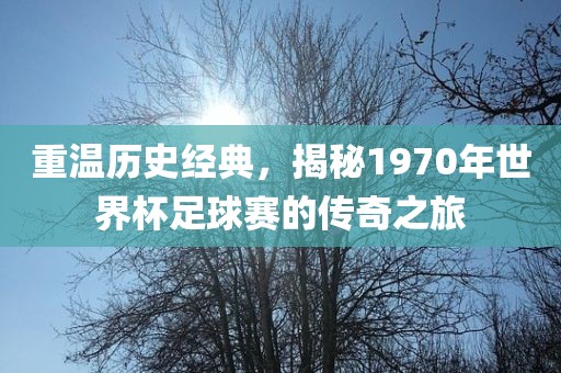 重温历史经典，揭秘1970年世界杯足球赛的传奇之旅漯河市盈旭机械设备有限公司