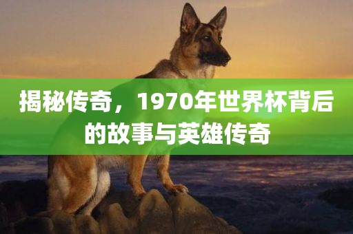 揭秘传奇，1970年世界杯背后的故事与英雄传奇