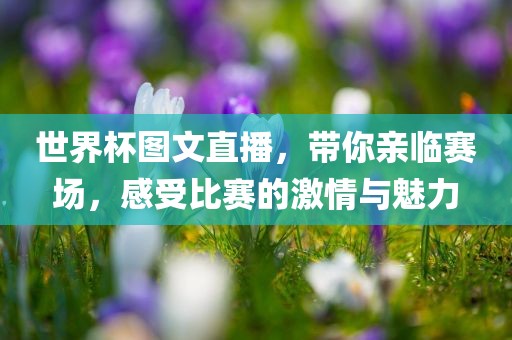 世界杯图文直播，带你亲临赛场，感受比赛的激情与魅力漯河市盈旭机械设备有限公司
