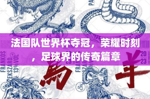法国队世界杯夺冠，荣耀时刻，足球界的传奇篇章漯河市盈旭机械设备有限公司