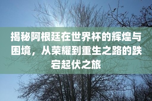 揭秘阿根廷在世界杯的辉煌与困境，从荣耀到重生之路的跌宕起伏之旅