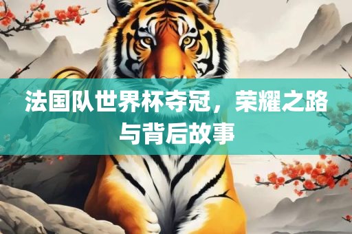 法国队世界杯夺冠，荣耀之路与背后故事