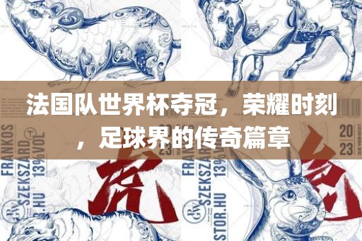 法国队世界杯夺冠，荣耀时刻，足球界的传奇篇章