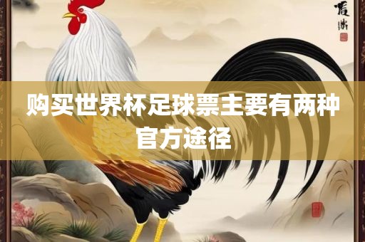 购买世界杯足球票主要有两种官方途径漯河市盈旭机械设备有限公司