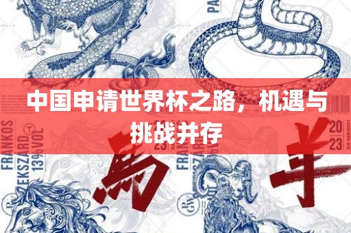 中国申请世界杯之路，机遇与挑战并存