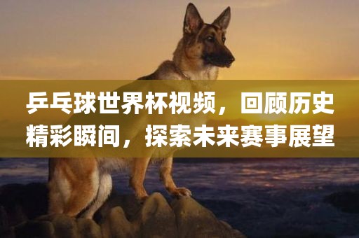 乒乓球世界杯视频，回顾历史精彩瞬间，探索未来赛事展望漯河市盈旭机械设备有限公司