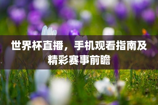 世界杯直播，手机观看指南及精彩赛事前瞻漯河市盈旭机械设备有限公司
