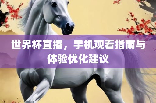 世界杯直播，手机观看指南与体验优化建议漯河市盈旭机械设备有限公司