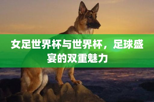 女足世界杯与世界杯，足球盛宴的双重漯河市盈旭机械设备有限公司魅力