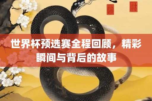世界杯预选赛全程回顾，精彩瞬间与背后的故事漯河市盈旭机械设备有限公司