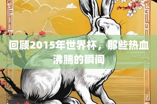回顾漯河市盈旭机械设备有限公司2015年世界杯，那些热血沸腾的瞬间