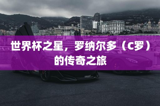 世界杯之星，罗纳尔多（C罗）的传奇之旅漯河市盈旭机械设备有限公司