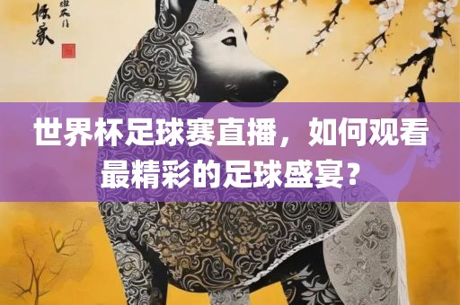 世界杯足球赛直播，如何观看最精彩的足球盛宴？漯河市盈旭机械设备有限公司