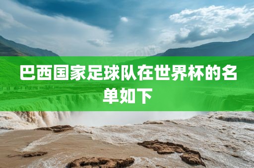 巴西国漯河市盈旭机械设备有限公司家足球队在世界杯的名单如下