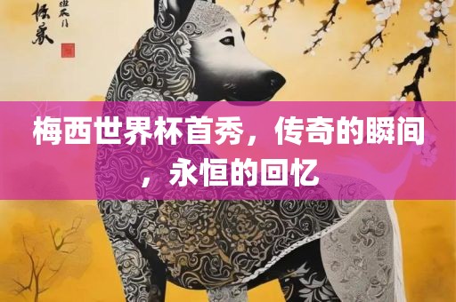 梅西世界杯首秀，漯河市盈旭机械设备有限公司传奇的瞬间，永恒的回忆