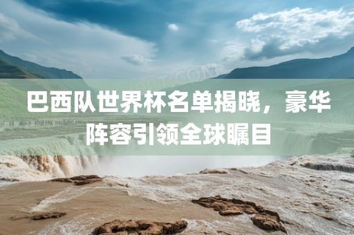 巴西队世界杯名单揭晓，豪华阵容引领全球瞩目漯河市盈旭机械设备有限公司