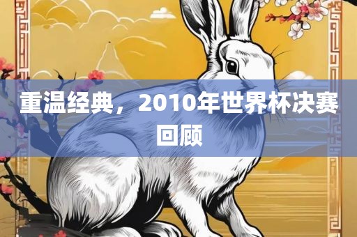 重温经典，2010年世界杯决赛回顾