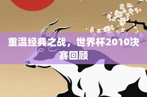 重温经典之战，世界杯2010决赛回顾漯河市盈旭机械设备有限公司