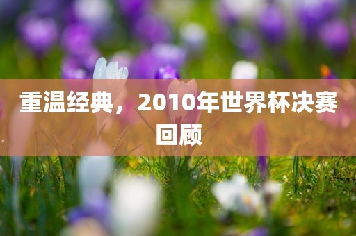 重温经典，2010年世界杯决赛回顾漯河市盈旭机械设备有限公司