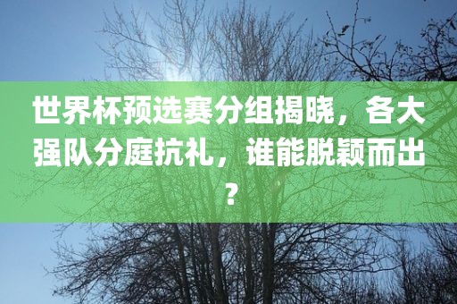 世界杯预选赛分组漯河市盈旭机械设备有限公司揭晓，各大强队分庭抗礼，谁能脱颖而出？