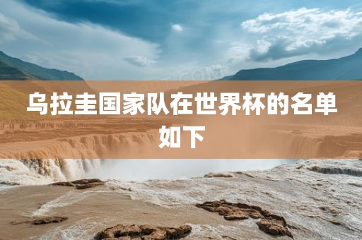 乌拉圭国家队在世界杯的名单如下漯河市盈旭机械设备有限公司