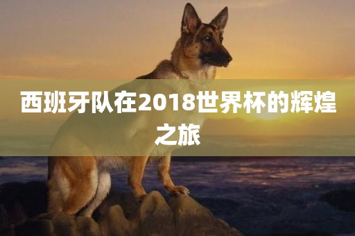 西班牙队在2018世界杯的辉煌之旅