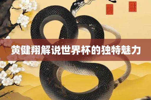 黄健翔解说世界杯的独特魅力漯河市盈旭机械设备有限公司