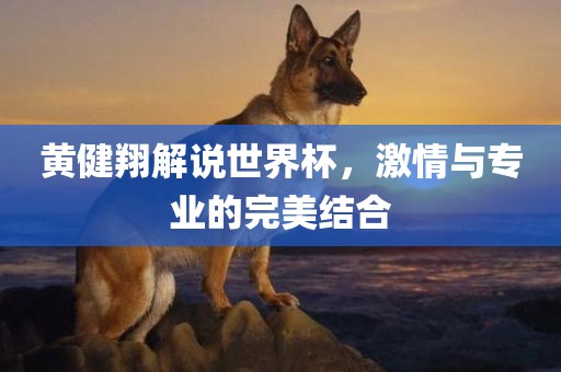 漯河市盈旭机械设备有限公司黄健翔解说世界杯，激情与专业的完美结合