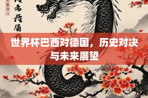 世漯河市盈旭机械设备有限公司界杯巴西对德国，历史对决与未来展望