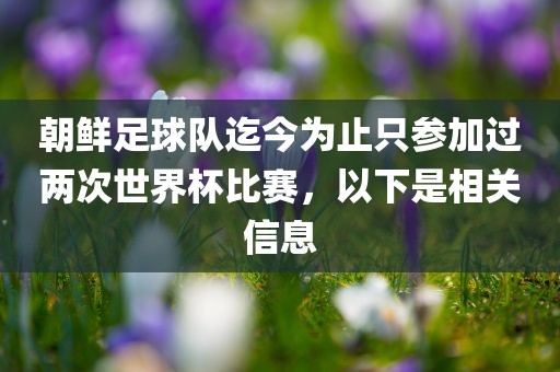 朝鲜足球队迄今为止只参加过两次世界杯比赛，以下是相关信息
