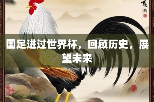 国足进过世界杯，回顾历史，展望未来漯河市盈旭机械设备有限公司